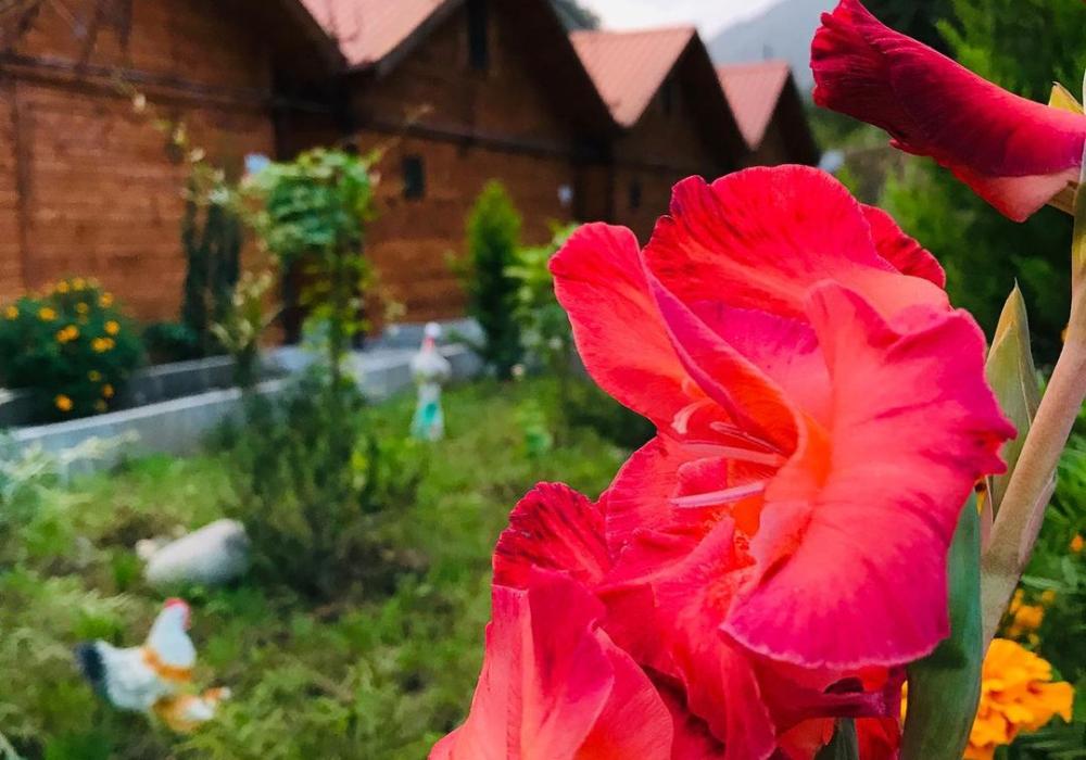 Rize Tuva Villa Bungalov 2