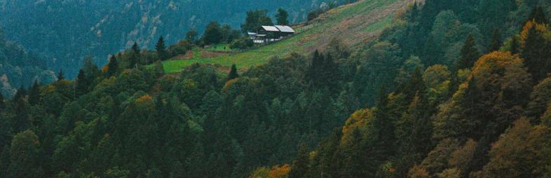 Rize’de Keşfedilmeyi Bekleyen Doğal Güzellikler ve Turistik Yerler