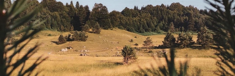 Sapanca Sogucak Plateau